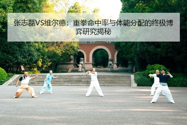 张志磊VS维尔德：重拳命中率与体能分配的终极博弈研究揭秘